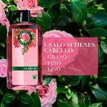 Shampoo-marca-Herbal-Essences-Smooth-Rose-Hips-865-ml-4-24118