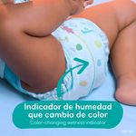 Pa-ales-Marca-Pampers-Baby-Dry-Talla-3-7-15kg-144Uds-12-4760