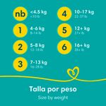 Pa-ales-Marca-Pampers-Baby-Dry-Talla-3-7-15kg-144Uds-13-4760
