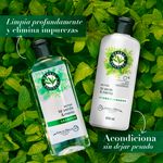 Acondicionador-Marca-Herbal-Essences-Detox-T-Verde-Menta-Para-Cabello-Graso-Con-Ra-ces-Grasas-400ml-10-28435