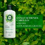 Acondicionador-Marca-Herbal-Essences-Detox-T-Verde-Menta-Para-Cabello-Graso-Con-Ra-ces-Grasas-400ml-6-28435