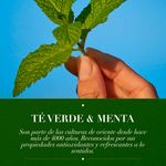 Acondicionador-Marca-Herbal-Essences-Detox-T-Verde-Menta-Para-Cabello-Graso-Con-Ra-ces-Grasas-400ml-7-28435
