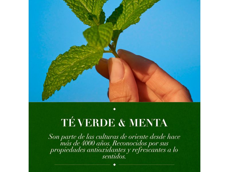 Acondicionador-Marca-Herbal-Essences-Detox-T-Verde-Menta-Para-Cabello-Graso-Con-Ra-ces-Grasas-400ml-7-28435