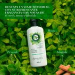 Acondicionador-Marca-Herbal-Essences-Detox-T-Verde-Menta-Para-Cabello-Graso-Con-Ra-ces-Grasas-400ml-8-28435