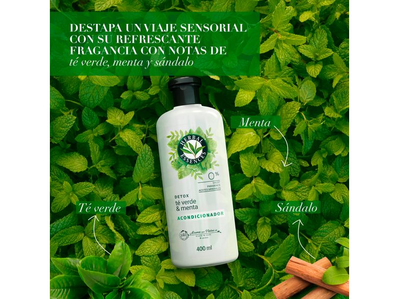 Acondicionador-Marca-Herbal-Essences-Detox-T-Verde-Menta-Para-Cabello-Graso-Con-Ra-ces-Grasas-400ml-8-28435