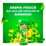 Perlas-Intensificadoras-De-Fragancia-Marca-Gain-Fireworks-Con-Aroma-Original-752g-10-28511