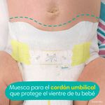 Pa-ales-Marca-Pampers-Swaddlers-Talla-3-7-13kg-136Uds-14-4738