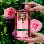 Shampoo-marca-Herbal-Essences-Smooth-Rose-Hips-865-ml-10-24118