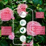 Shampoo-marca-Herbal-Essences-Smooth-Rose-Hips-865-ml-9-24118