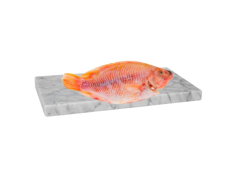 Pescado-Queen-Lb-2-14204