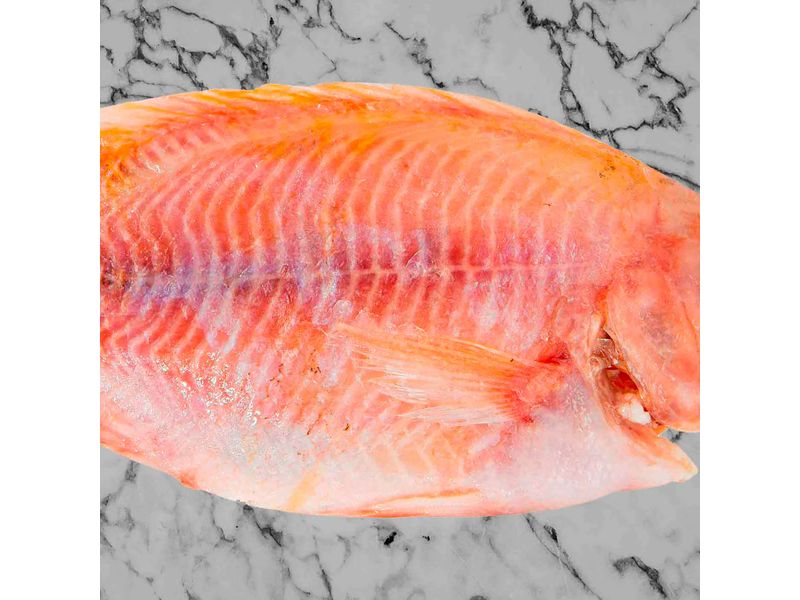 Pescado-Queen-Lb-3-14204