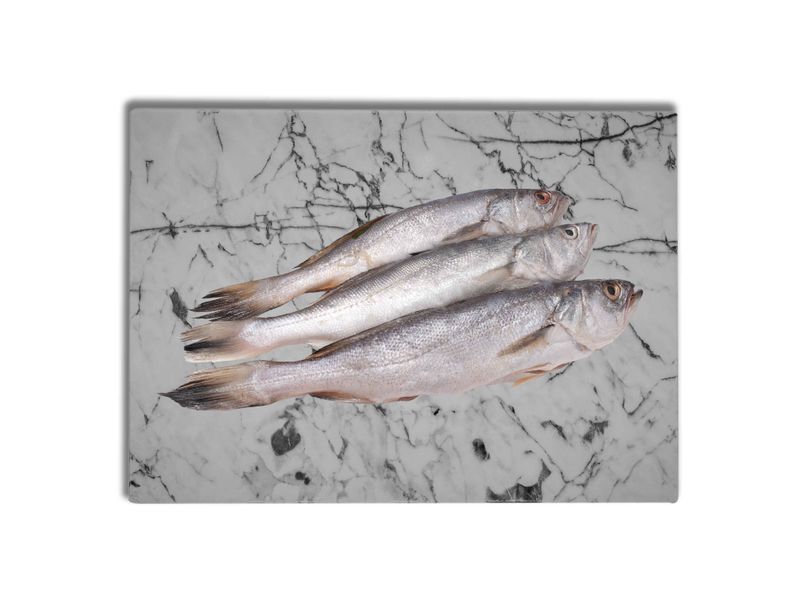 Pescado-Curvina-Lb-1-14201