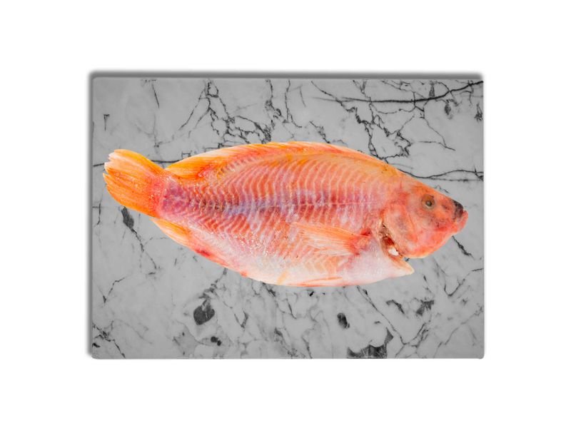 Pescado-Queen-Lb-1-14204