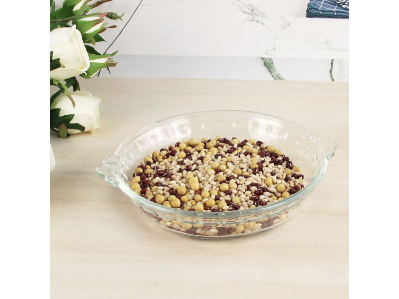 Plato-Marca-Zibo-De-Vidrio-4-34388