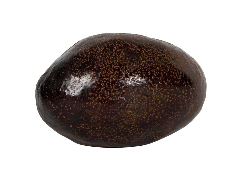 Aguacate-Beneke-Unidad-1-22087