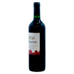 Vino-Marca-Tarapac-Sarmientos-Cabernet-Sauvignon-750ml-2-6749