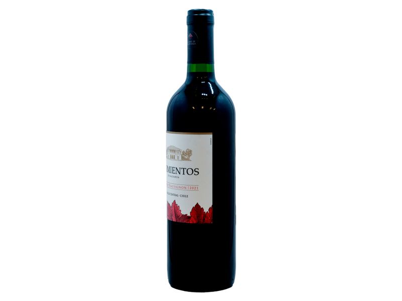 Vino-Marca-Tarapac-Sarmientos-Cabernet-Sauvignon-750ml-2-6749