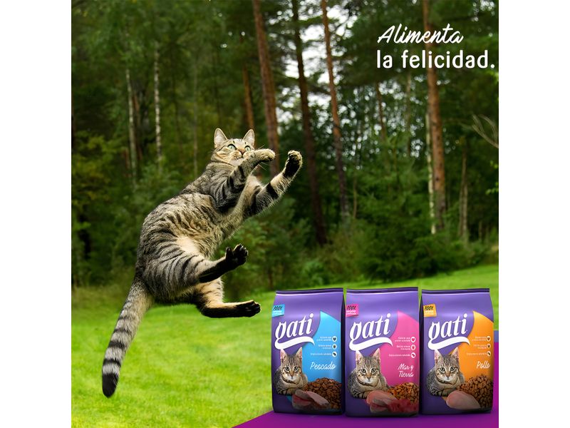 Alimento-Marca-Gati-Para-Gato-Adulto-Mar-Y-Tierra-M-s-2-Meses-1kg-6-604