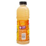 Jugo-Marca-Petit-Twist-Sabor-A-Coco-500ml-2-34224