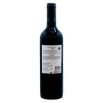 Vino-Marca-Mancura-Etnia-Carmen-re-750ml-4-36584