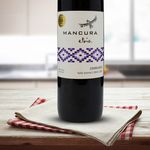 Vino-Marca-Mancura-Etnia-Carmen-re-750ml-5-36584