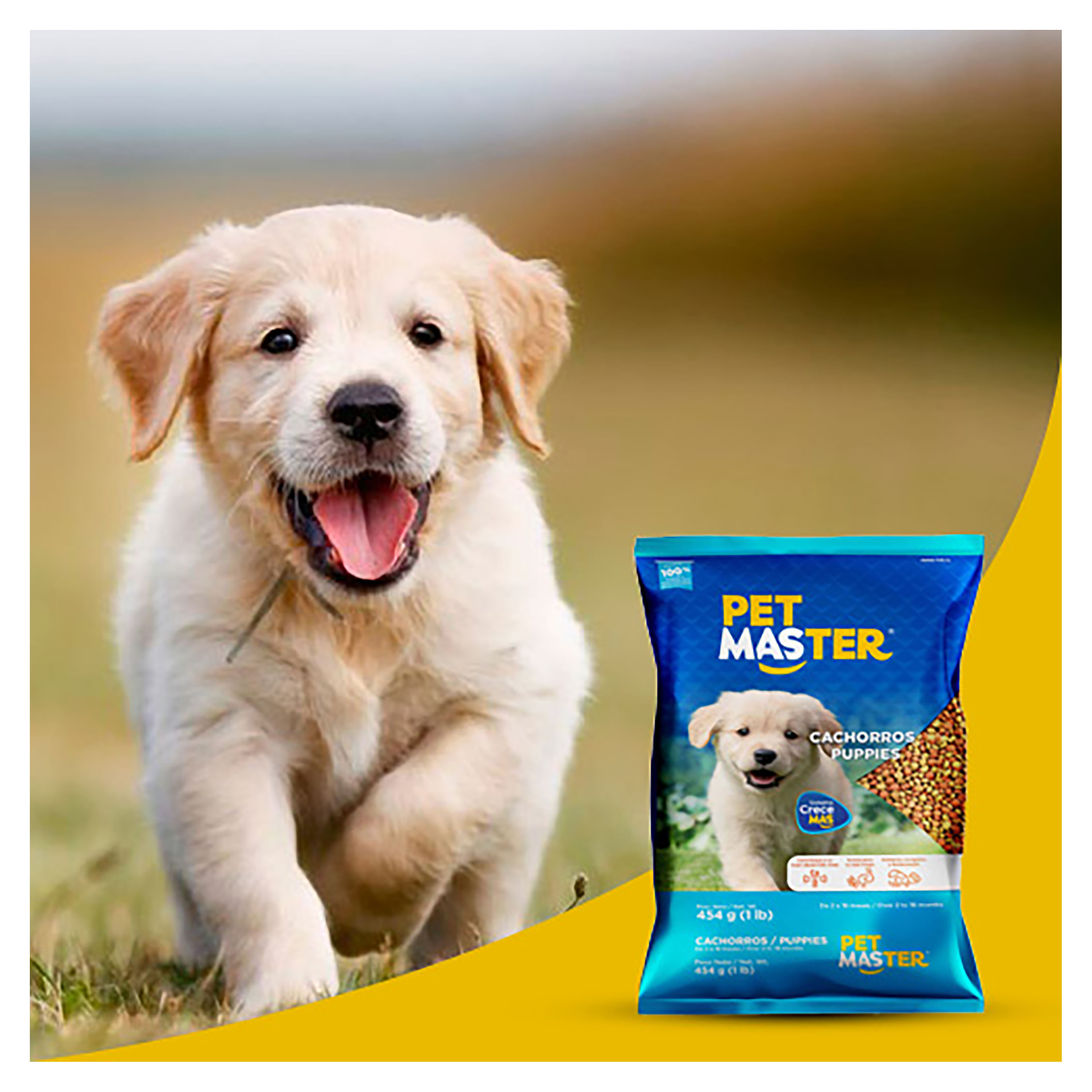 Comprar Alimento Pet Master Para Cachorro 454 g | Walmart Salvador