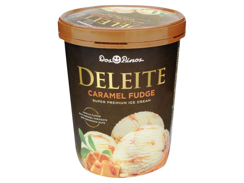 Helado-Dos-Pinos-Deleite-Caramelo-Fud-565gr-19-9oz-1-14970