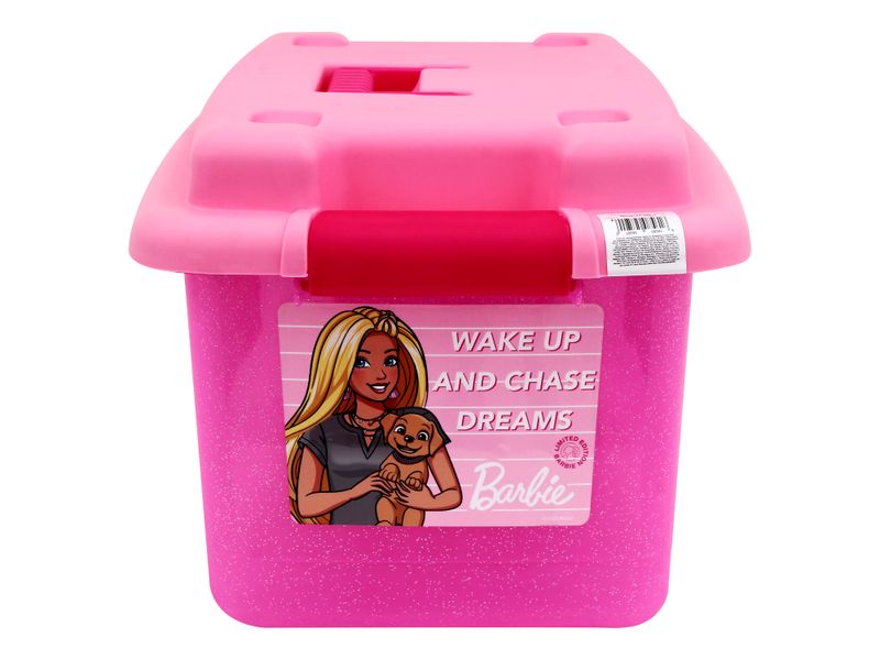 Caja-Click-Marca-Guateplast-Surtido-20-l-3-36561
