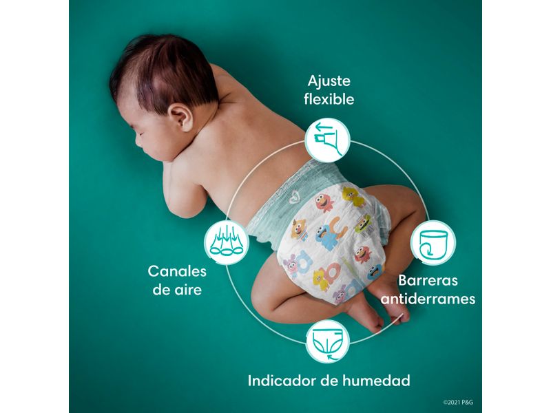 Pa-ales-Pampers-Baby-Dry-Talla-3-104-Uds-8-4756