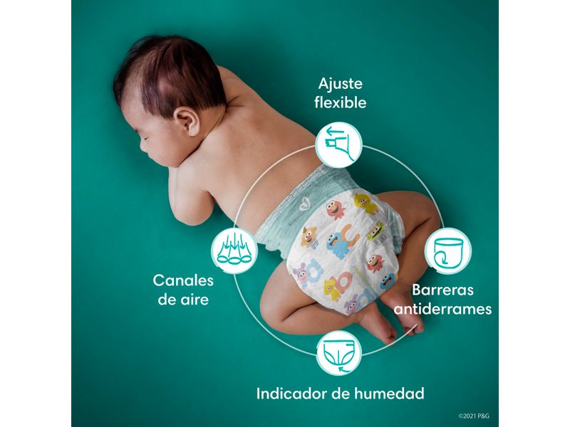 Pa-ales-Pampers-Baby-Dry-Talla-4-92-Uds-8-4757