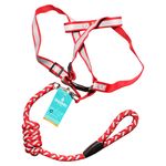 Chucho-Set-Multicolor-Grande-Mascota-1Ea-2-10331