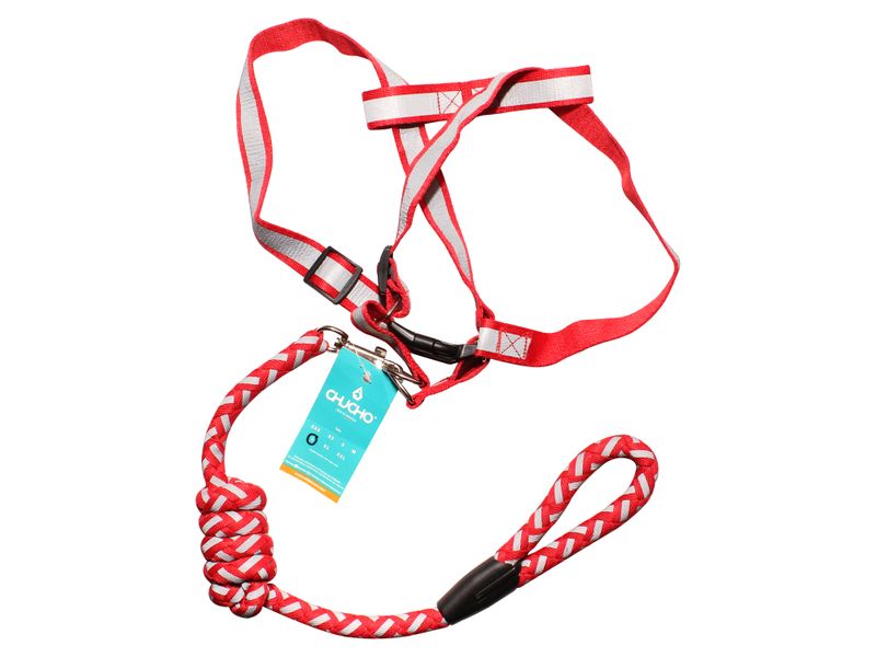 Chucho-Set-Multicolor-Grande-Mascota-1Ea-2-10331