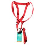 Chucho-Set-Multicolor-Grande-Mascota-1Ea-4-10331