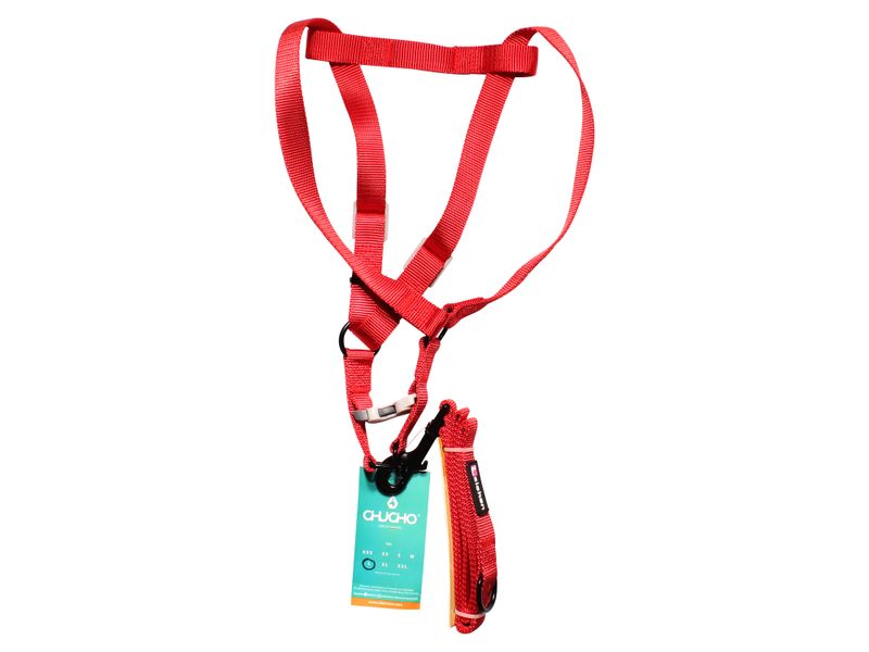 Chucho-Set-Multicolor-Grande-Mascota-1Ea-4-10331