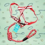Chucho-Set-Multicolor-Grande-Mascota-1Ea-6-10331