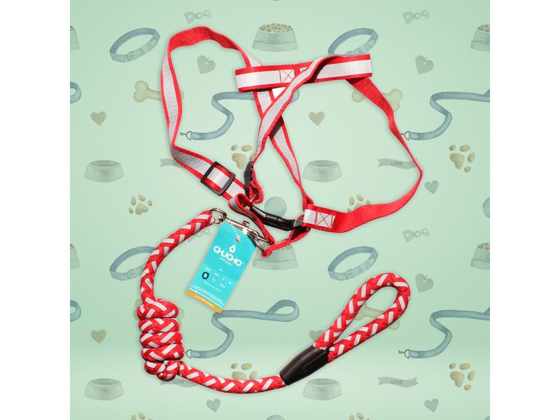 Chucho-Set-Multicolor-Grande-Mascota-1Ea-6-10331