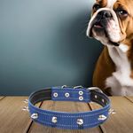 Collar-Lafram-D-Nylon-C-Adorno-18-Y-20-4-8377