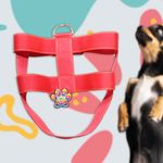 Arnes-Pet-Life-Reforzado-30X1-1-2-1Ea-4-8383