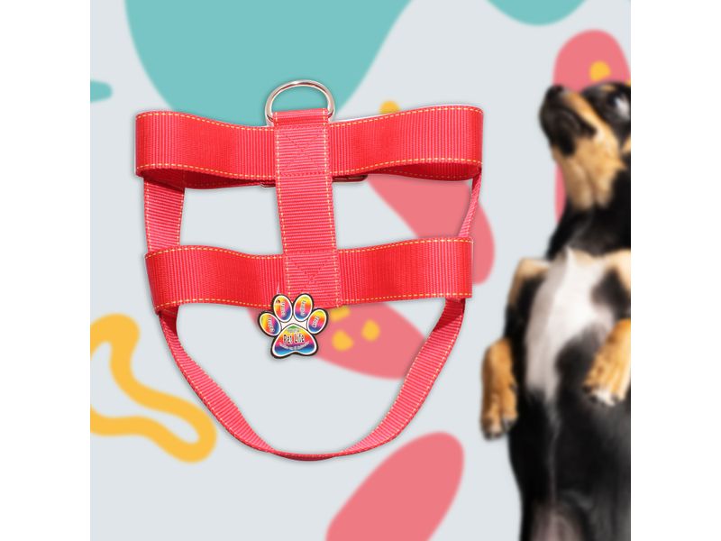 Arnes-Pet-Life-Reforzado-30X1-1-2-1Ea-4-8383