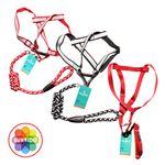Chucho-Set-Multicolor-Grande-Mascota-1Ea-1-10331