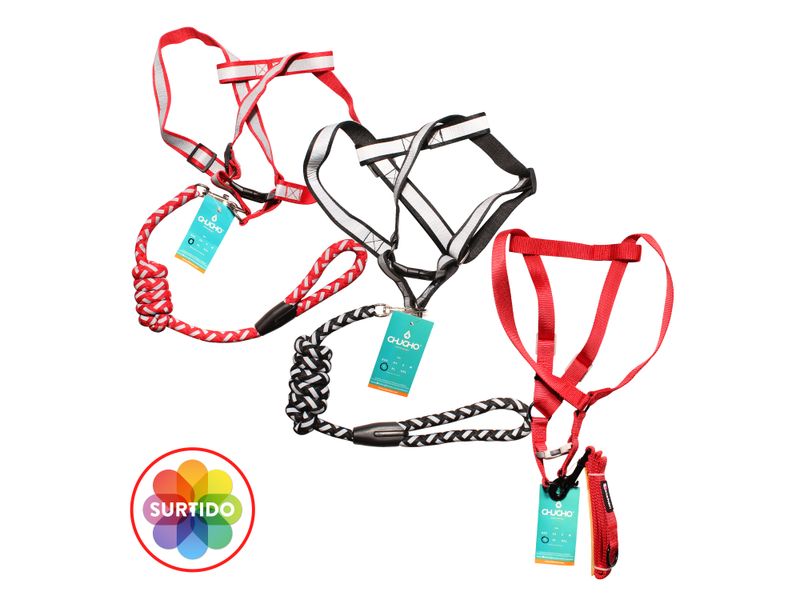 Chucho-Set-Multicolor-Grande-Mascota-1Ea-1-10331