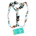 Set-Clasico-Chucho-Multicolr-Mascot-1Und-1-10334