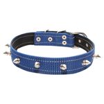 Collar-Lafram-D-Nylon-C-Adorno-18-Y-20-1-8377