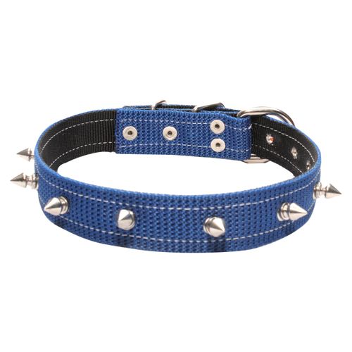 Collar Lafram D Nylon C Adorno 18 Y 20