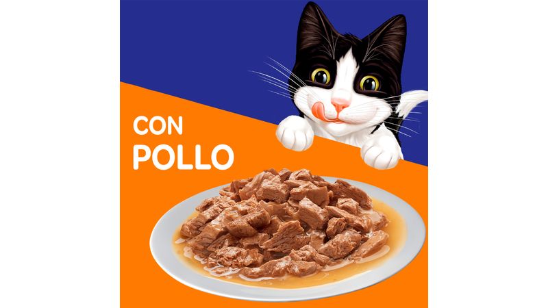 Schesir, Comida Húmeda para Gatos Adultos, Sabor filetes de Pollo en  gelatina Blanda - Total 1,7 kg (20 Sobres x 85 gr) : : Productos  para mascotas