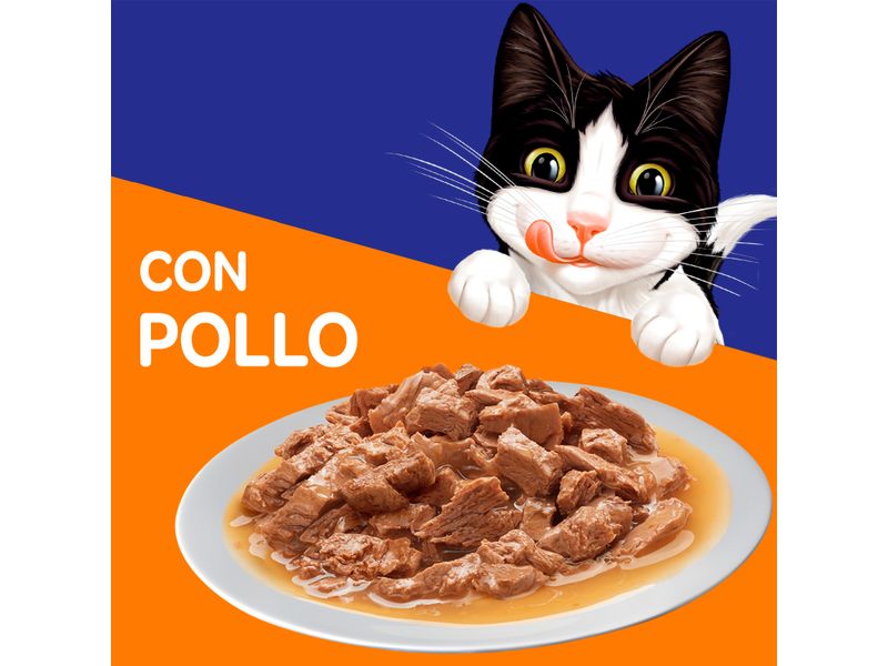 Alimento-H-medo-Gato-Adulto-Purina-Felix-Pollo-85g-7-4129