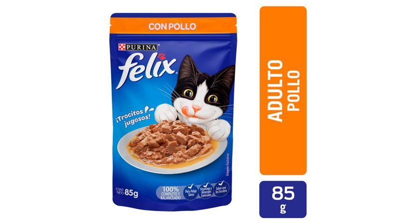 Schesir, Comida Húmeda para Gatos Adultos, Sabor Bacoreta con Papaya,  Preparado en Gelatina Blanda - Total 1,7 kg (20 sobre x 85 gr) : :  Productos para mascotas