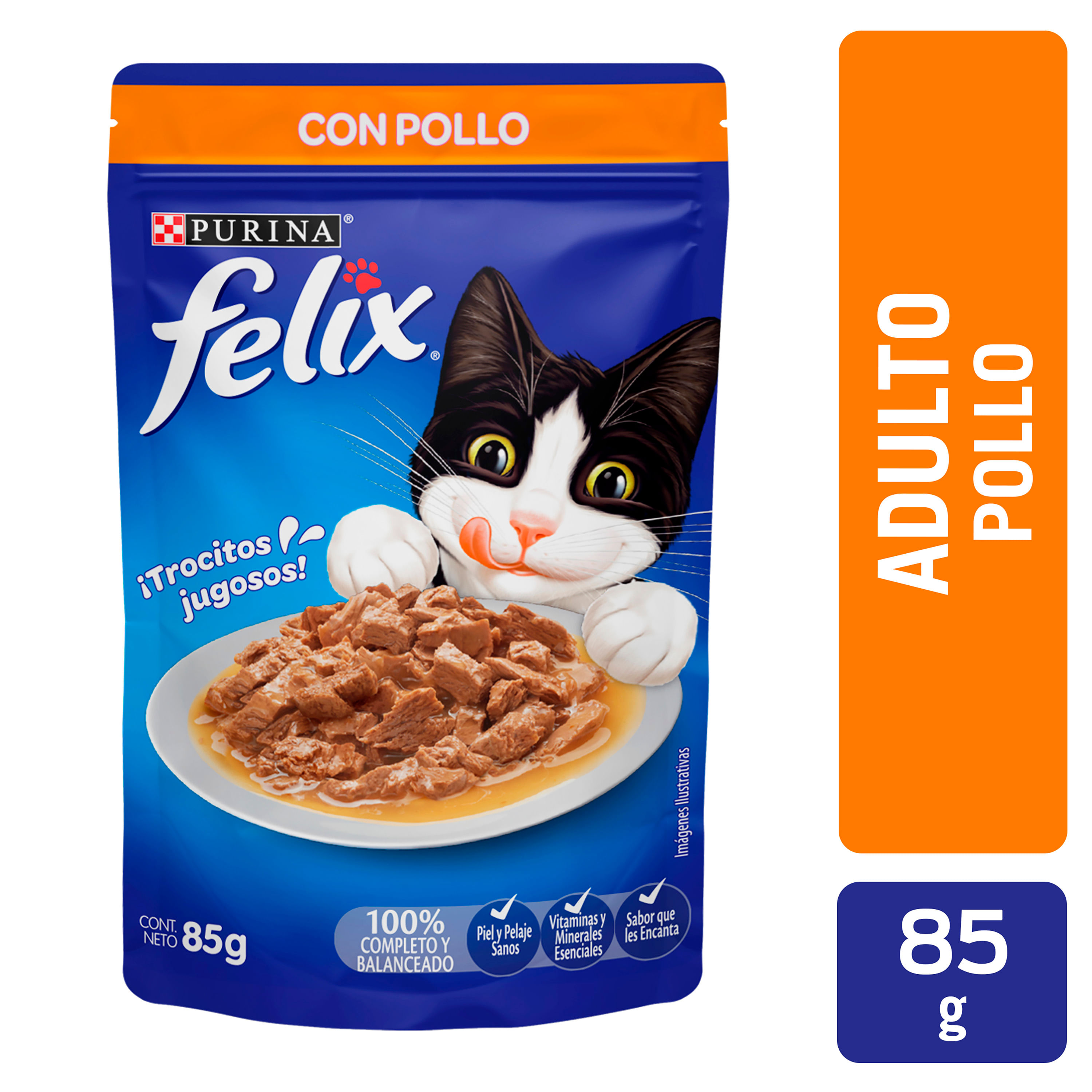 Schesir, Comida Húmeda para Gatos Adultos, Sabor filetes de Pollo en  gelatina Blanda - Total 1,7 kg (20 Sobres x 85 gr) : : Productos  para mascotas