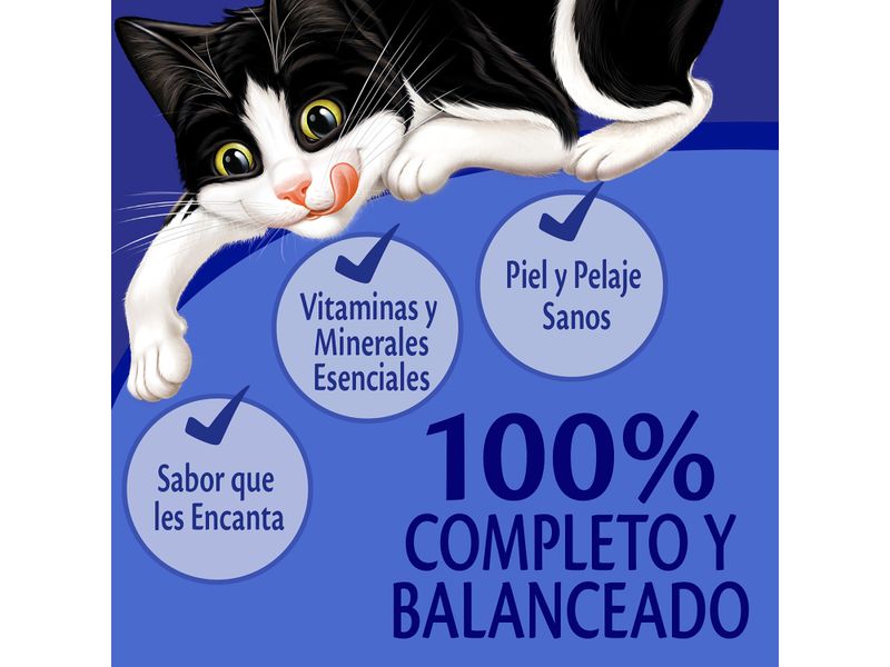 Alimento-H-medo-Gato-Adulto-Purina-Felix-Pescado-Blanco-85g-9-4125