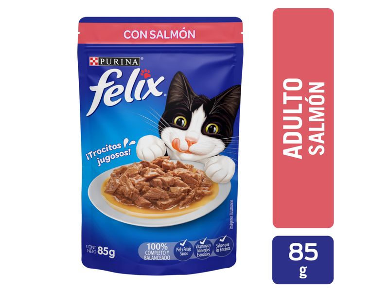 Alimento-H-medo-Gato-Adulto-Purina-Felix-Salm-n-85g-1-4128